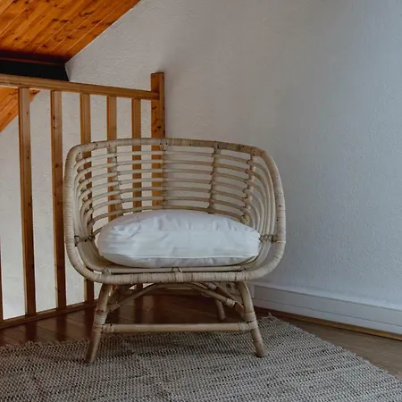 Bright With Mezzanine + Parking Apartment Toulouse